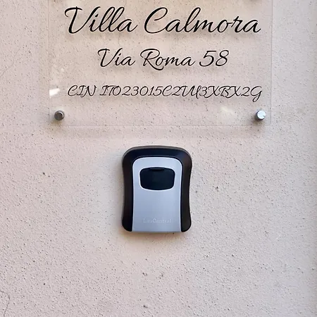 Calmora *