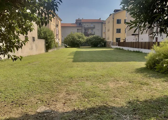 فيلة Calmora بوسولينغو